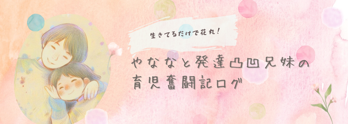 やななと発達凸凹兄妹の育児奮闘記ログ