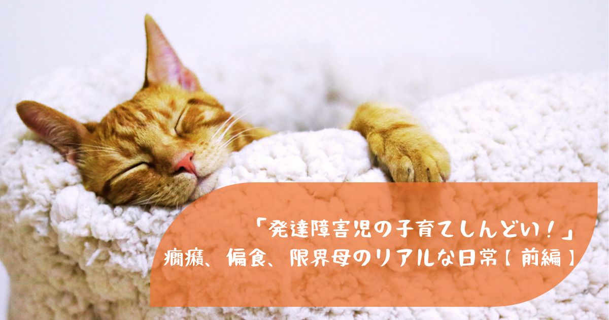 「発達障害児の子育てしんどい！」-癇癪、偏食、限界母のリアルな日常【前編】